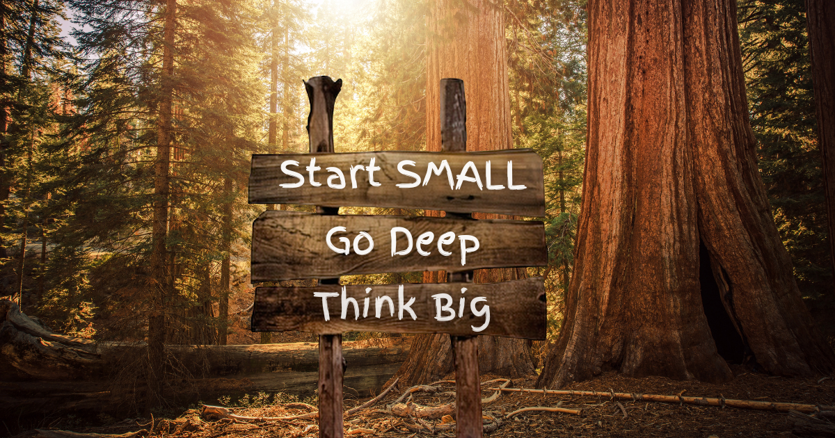 Start Small Go Deep Think Big